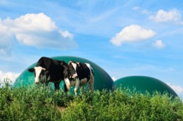 Biogaz : le gouvernement publie un décrêt en faveur des agriculteurs