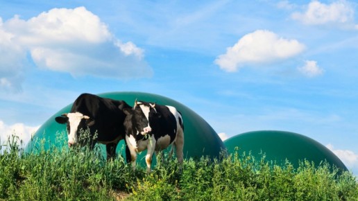 Biogaz : le gouvernement publie un décrêt en faveur des agriculteurs
