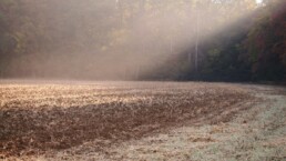 Catastrophe agricole : comment financer votre rebond quand les aides publiques ne suffisent pas ?