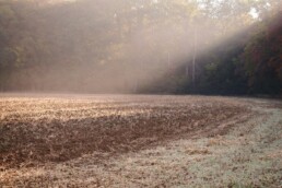 Catastrophe agricole : comment financer votre rebond quand les aides publiques ne suffisent pas ?