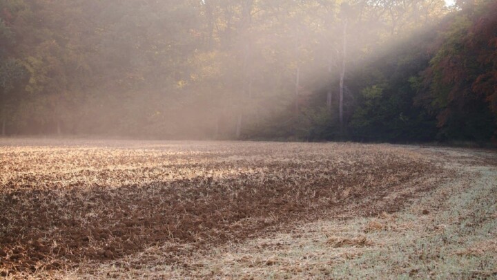 Catastrophe agricole : comment financer votre rebond quand les aides publiques ne suffisent pas ?