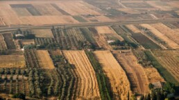 Collecte solidaire agricole : quand la solidarité citoyenne change le destin d'une exploitation