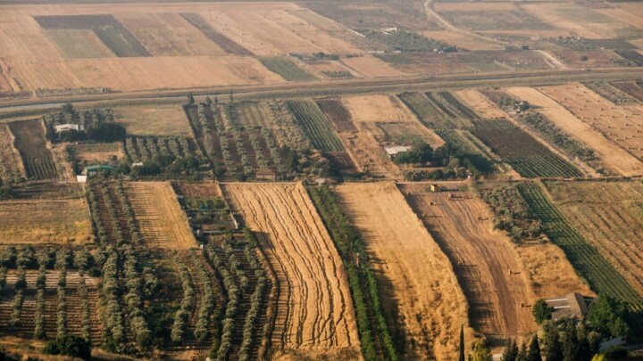 Collecte solidaire agricole : quand la solidarité citoyenne change le destin d'une exploitation