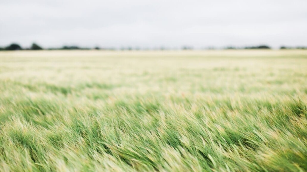 Commencer à investir : guide complet pour soutenir l’agriculture durable