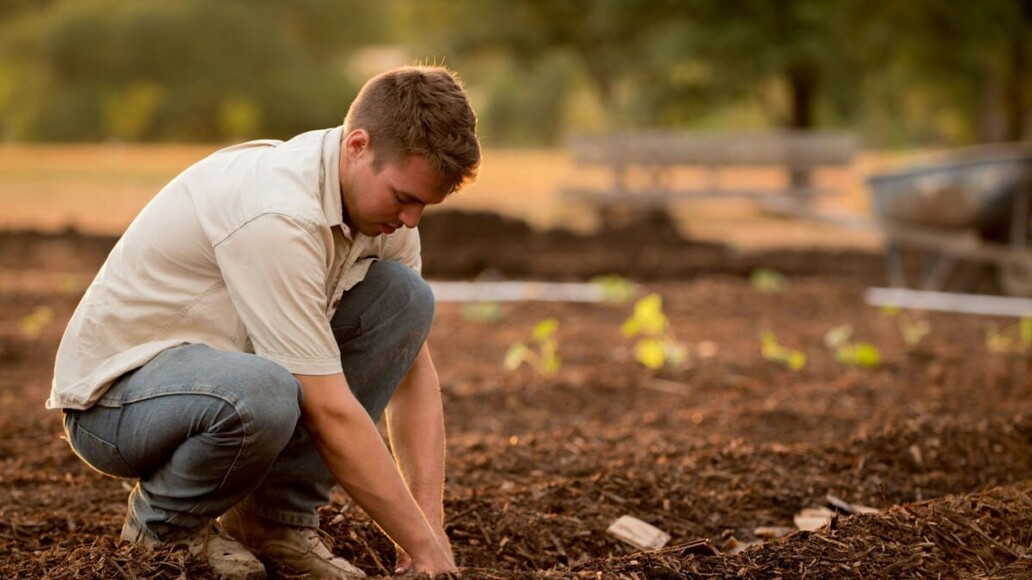 Crédit pour un projet agricole