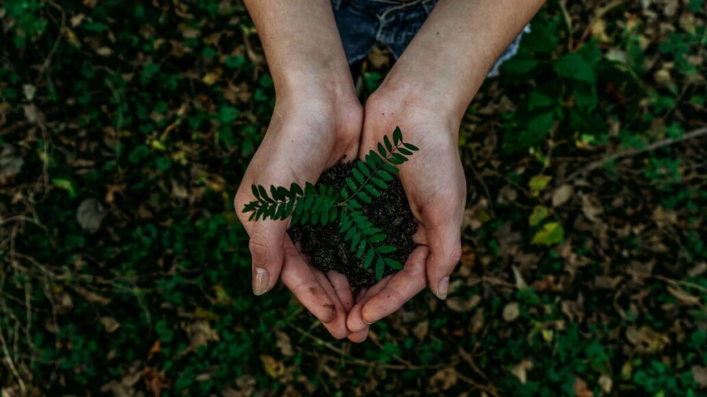 Journée de la terre 2026