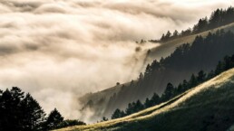 aléas climatiques : la collecte solidaire miimosa indispensable