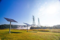 Marché de l'agrivoltaïsme en France en 2026 : un secteur stratégique