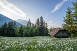 prime de vacances : d&eacute;finition, droits, &eacute;pargne & investissement
