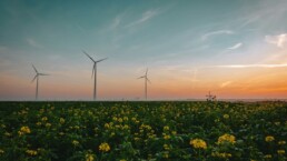 chauffage énergies renouvelables bois énergie biogaz électricité