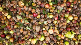 gaspillage alimentaire 29 septembre 2026