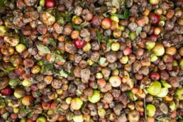 gaspillage alimentaire 29 septembre 2026