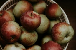 Verger de pommiers en France, filière pomiculture 2026