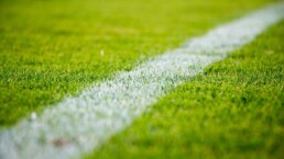 paris sportifs : fiscalité et pronostics
