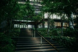 comparatif crowdfunding immobilier et risques en 2026