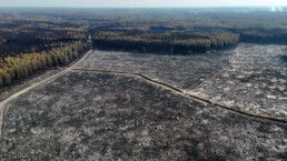 Incendies Gironde : mégafeu & aide agriculteurs