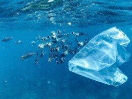 World Cleanup Day 2026 journée mondiale du nettoyage de la planète, des bénévoles ramassent des déchets en nature