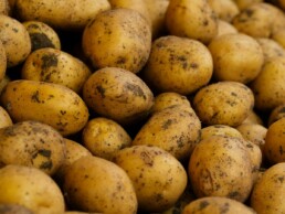 quelle pomme de terre choisir ?