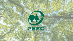 Forêt française gérée durablement sous certification PEFC, avec arbres morts conservés sur pied