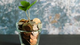 Calcul du capital nécessaire pour l'indépendance financière, mouvement FIRE en France
